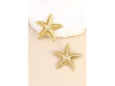Boucle doreille 210BO05T