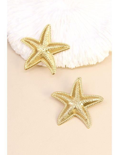 Boucle doreille 210BO05T