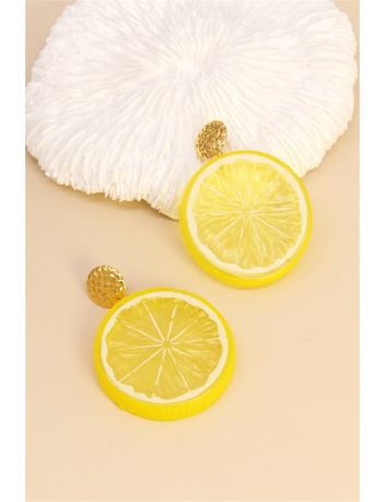 Boucle doreille 211BO25B