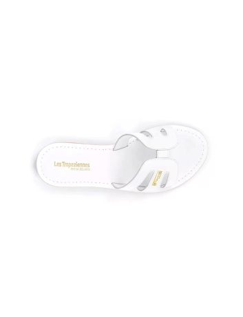 Mule plate DAMIA